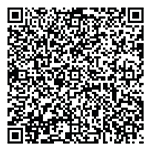 Adani Codename LIT QR 1