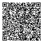 Adani Codename LIT QR 2