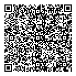 Adani Codename LIT QR 3
